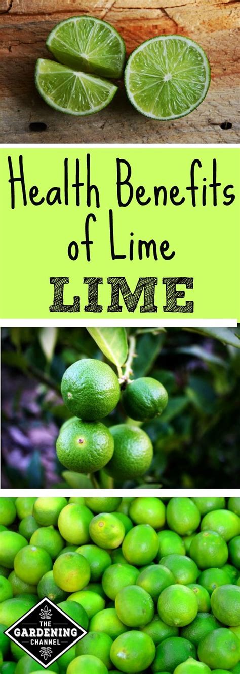 Health Benefits Of Limes Including Gout Prevention Health Benefits