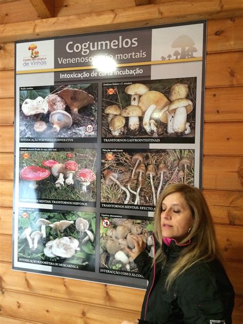 Can you pronounce this word better. Parque Biológico de Vinhais | Viaje Comigo