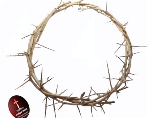 Sharp Real Thornjesus Christ Crownthorns Crown Home Decor Door