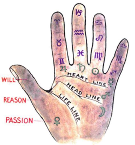 Palmistry An Insight Of This Art Hubpages
