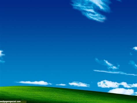 49 Windows Xp Bliss Wallpaper 1024x768 Wallpapersafari