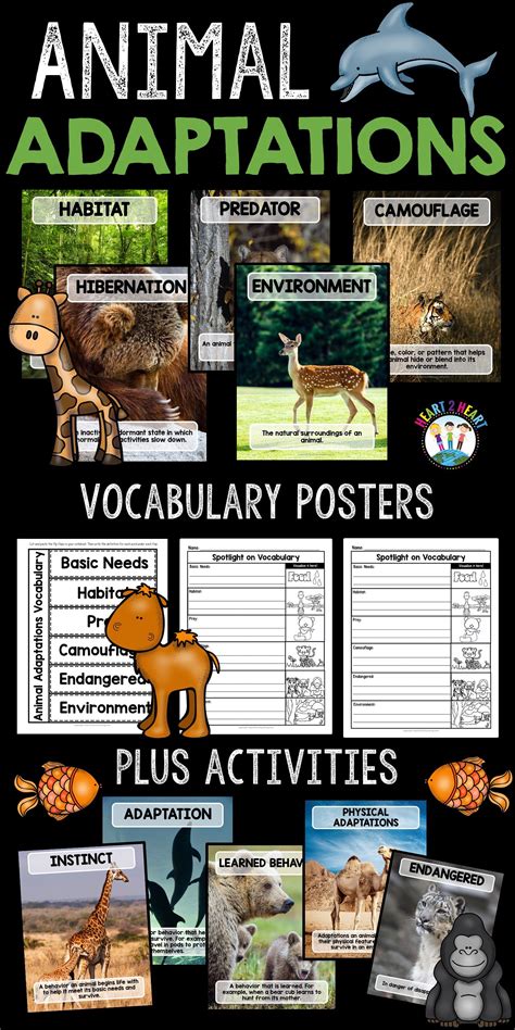 Animal Adaptations Activities And Vocabulary Posters Animal Adaptations