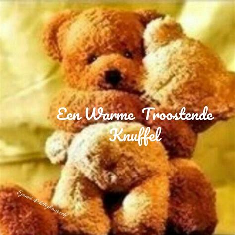 Een Warme Troostende Knuffel🐻💞 Knuffel Knuffel Citaten