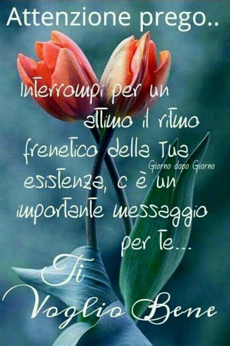 La vita è arricchita dai legami di amicizia. 56 Lovely Buon Compleanno Amica Mia Ti Voglio Bene