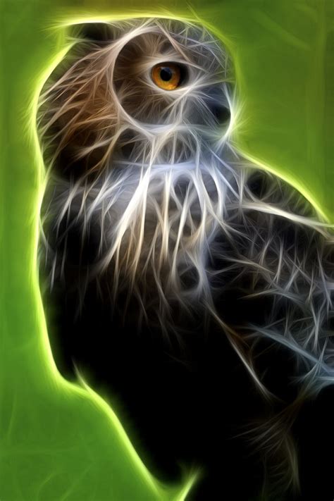 Fractal Owl Fractal Art Fractals Owl Art
