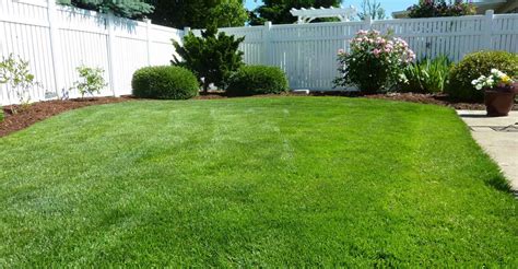 Lawn Services Fertilization And Yard Mowing In Midland Michigan