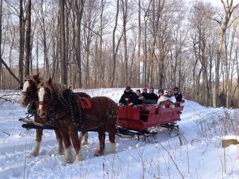 This 50 Minute Michigan Sleigh Ride Takes You Through A Winter Wonderland Sleigh Ride