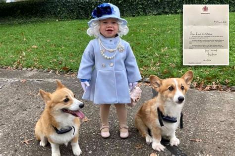 Toddler Dresses As The Queen Complete With Corgis Queen Sends Her