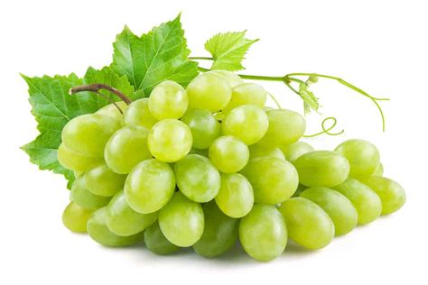 Uvas Todos Los Tipos Propiedades Usos Y Beneficios Para La Salud