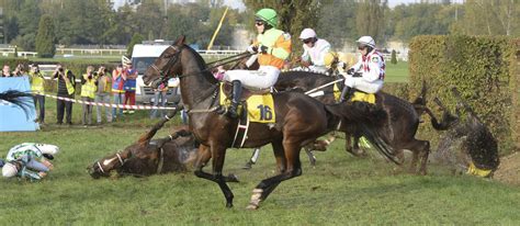 Na internetové fórum tehdy nové strany napsal, že by se nebránil „muslimské evropě. Josef Bartoš fotka