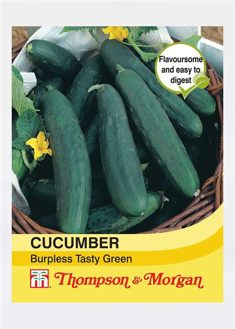 Cucumber Burpless Tasty Green Seeds Dobbies Garden Centres