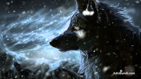 The turtle and the wolf. Most Epic Music Ever: "The Wolf And The Moon" by ...