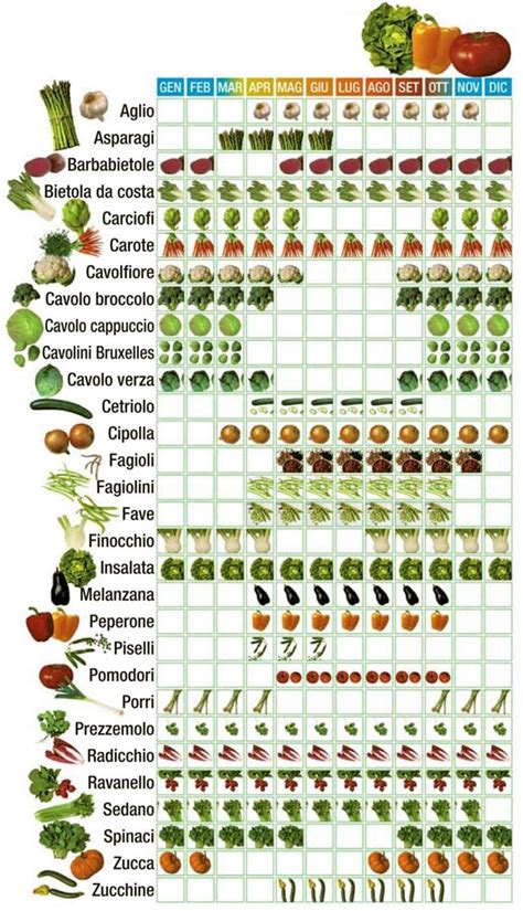 Scegliamo la Verdura di stagione! - FoodSafeIT
