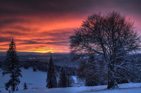 Beautiful Sunset In Winter Mountain Landscape Stock Image Image Of