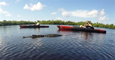 Kayaking In The Everglades Everything You Need To Know Is It Safe