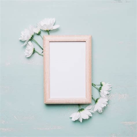 Free Photo Frame And White Flowers