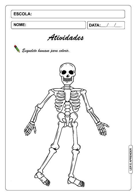 Desenho Para Colorir Corpo Humano Educa