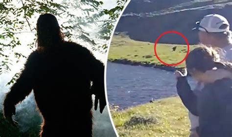 Bigfoot News Clear Mythical Beast Allegedly Caught On Video At