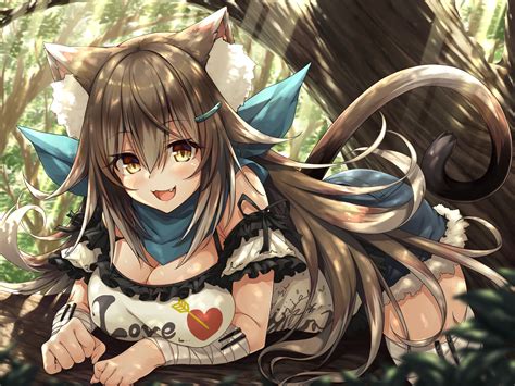 Cat Ears Hd Wallpapers Backgrounds