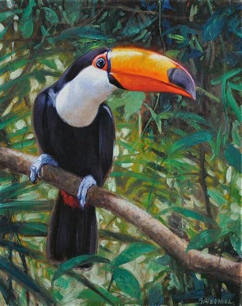 Pin By Jeanette Stock On Tucano Toucan Animal Paintings Birds