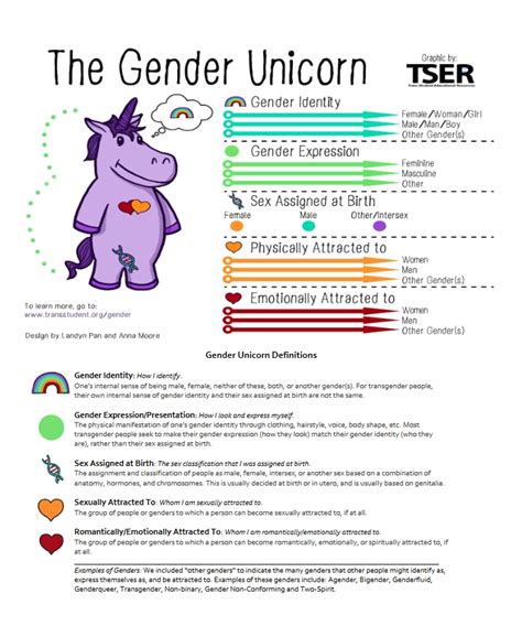 What Is The Gender Unicorn And How Is It Being Used In Schools