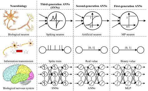 Three Generations Of Artificial Neural Networks Anns Mlp Multilayer