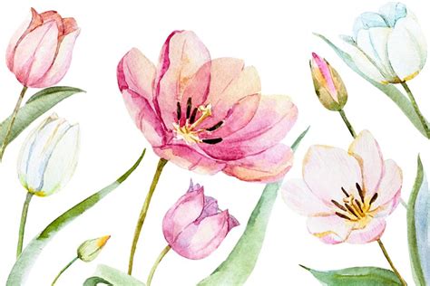 Spring Is Coming Gentle Watercolors Pre Designed Illustrator