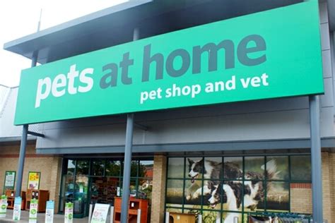 Pets At Home Trot Out Improved Set Of First Quarter Results