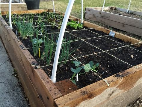 If your diy skills are negligible, consider getting in the experts. Wooden Raised Vegetable Beds - To Preserve or Not to Preserve