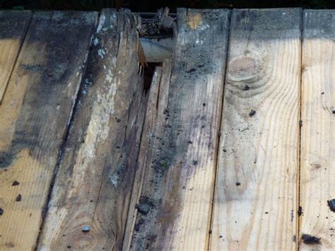 Die beschädigten stellen der rinne sollten trocken und sauber sein. Gartenhausdach mit Bitumenschindeln neu eindecken mit ...