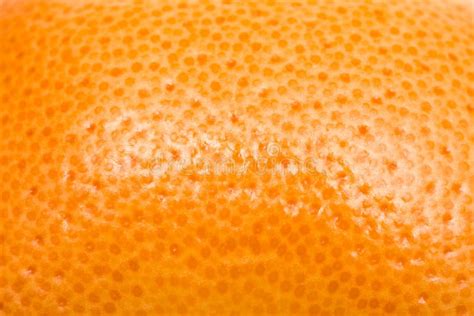 Orange Fruit Texture Stock Image Image Of Gourmet Studio 36000143