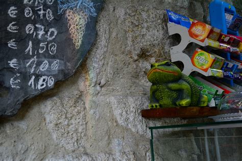 Portuguese Shopkeepers Using Ceramic Frogs To ‘scare Away Roma Marta