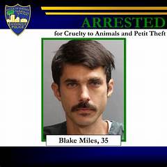 Miles Collins Gwinnett County Sentenced