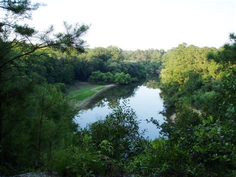 Things have changed since then, however, the cliffs remain virtually unaltered, standing as a journal of the geological and biological history of the land. Cliffs of the Neuse State Park, a North Carolina State ...