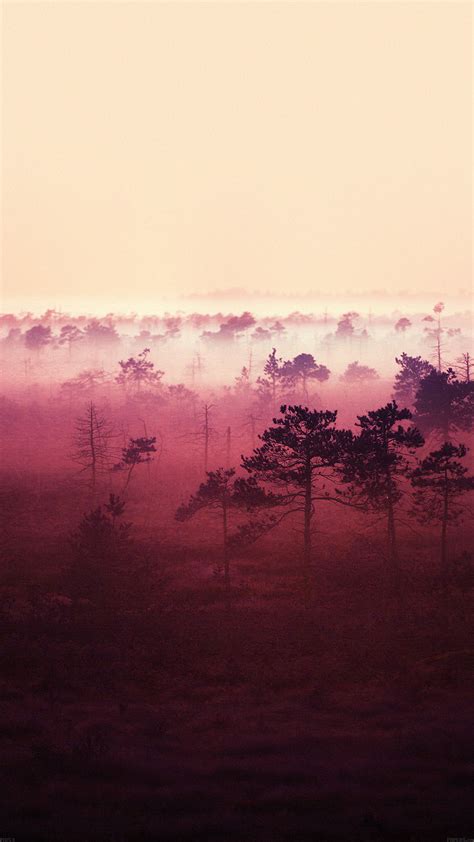 Red Sunset Woods Best Htc One Wallpapers Free And Easy