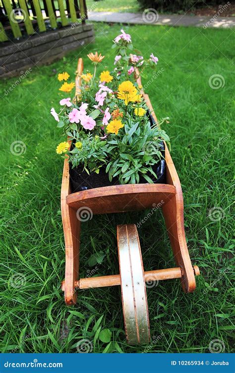 Wheelbarrow Full Of Colorful Flowers Stock Photo Image Of Load