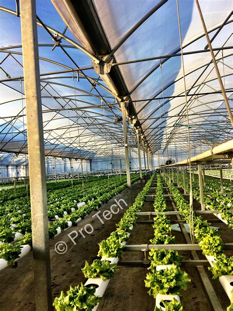 If you think a greenhouse is out of reach, think again: Greenhouse rain gutter collection | Green farm, Greenhouse ...
