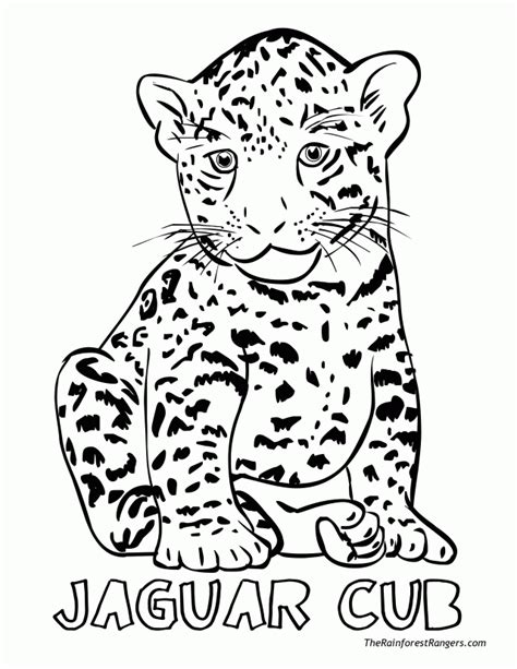 82 Ausmalbilder Jaguar Zum Ausdrucken Ausmalbilder