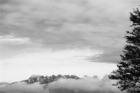 Grayscale Shot Of A Tree And Clouds Covering Mountains Stock Image