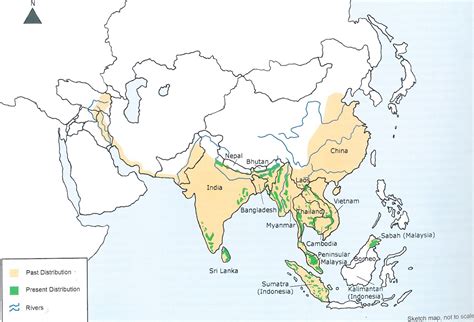 Iucn Asian Elephant Specialist Group