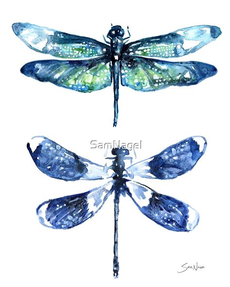 Dragonfly Wings By Samnagel Redbubble