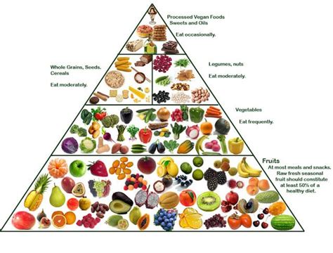 How To Start A Vegan Diet Vegan Food Pyramid Vegetarian Food Pyramid
