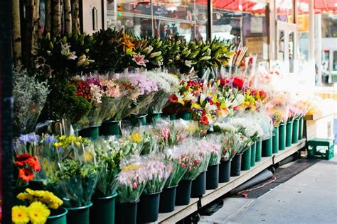 Maybe you would like to learn more about one of these? Reason #252: You can pick up flowers to brighten up a room ...