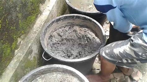 Ternak belut dalam ember merupakan alternatif bagi kawan yang ingin budidaya belut dalam lahan yang sempit dan modal terbatas. Wajib Dicoba! Budidaya Belut dalam Ember yang Menguntungkan