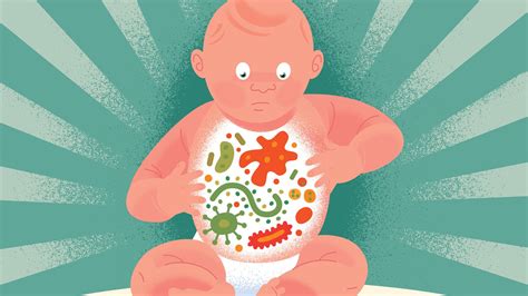 The Importance Of Infants Exposure To Micro Organisms The New York Times
