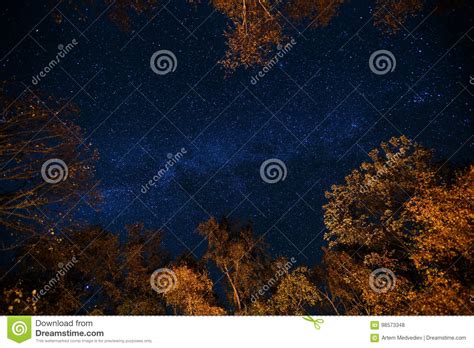 Dark Blue Night Starry Sky Above The Mystery Autumn Forest