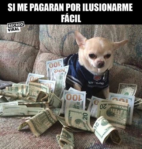 Sería Millonario Funny Dog Memes Animal Memes Funny Animal Memes