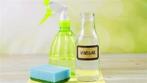 Does Cleaning Vinegar Remove Rust Youtube