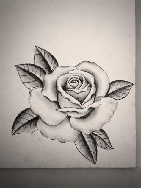Bilder zum zeichnen, rosen zeichnung in schwarz und grau, blumen und blätter. Bildergebnis für tattoo rose vorlage , #Bildergebnis # ...