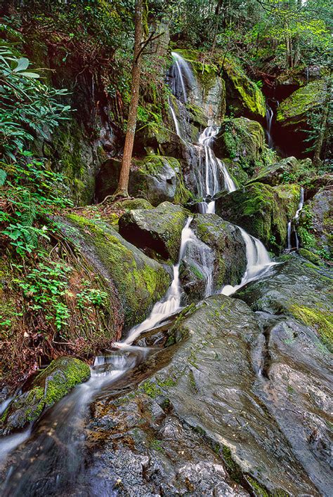 Smoky Mountains Waterfall 1000 Drips Fine Art Print From William